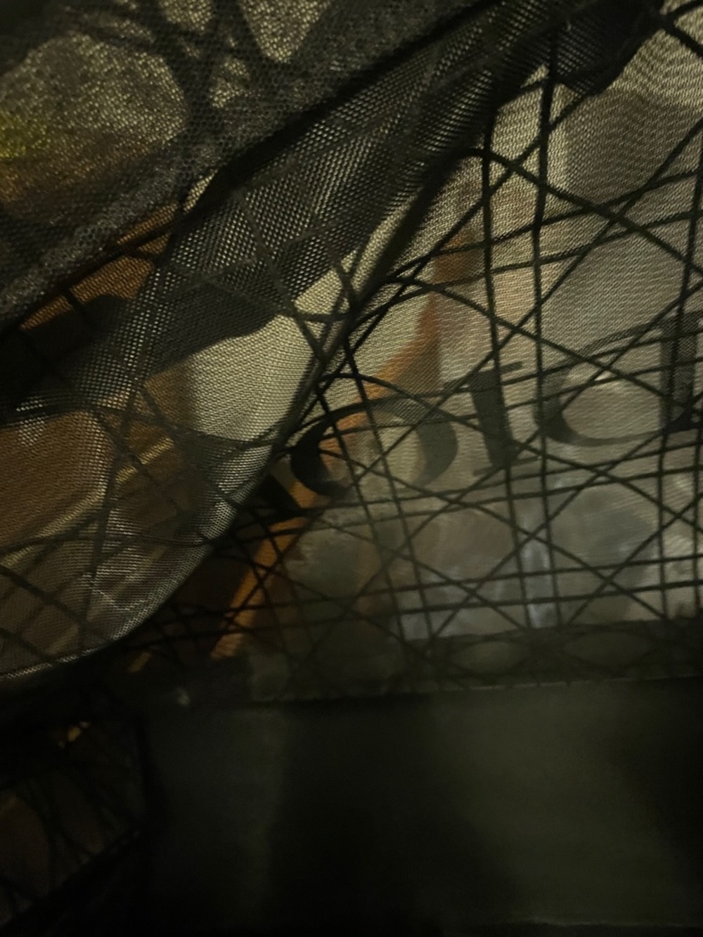 Dior Black Monogram Mesh Tote - Picture 9 of 17